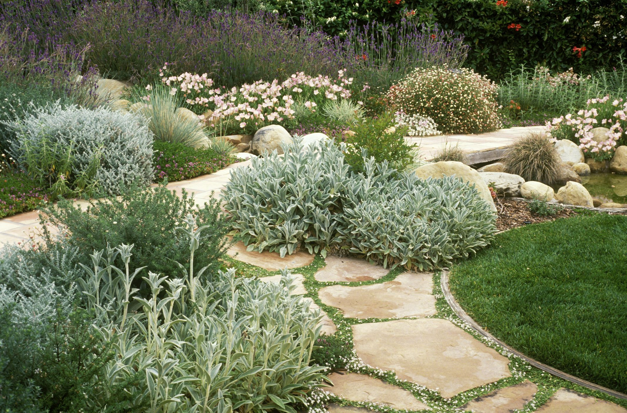 Water Saving Landscaping — Saving Water In The Garden